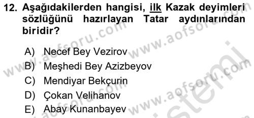 XIX. Yüzyıl Türk Dünyası Dersi 2021 - 2022 Yılı (Final) Dönem Sonu Sınav Soruları 12. Soru