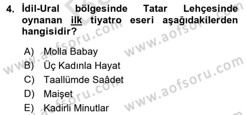 XIX. Yüzyıl Türk Dünyası Dersi 2021 - 2022 Yılı (Final) Dönem Sonu Sınav Soruları 4. Soru