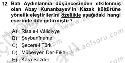 XIX. Yüzyıl Türk Dünyası Dersi 2022 - 2023 Yılı Yaz Okulu Sınav Soruları 12. Soru