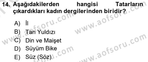 XIX. Yüzyıl Türk Dünyası Dersi 2023 - 2024 Yılı (Vize) Ara Sınav Soruları 14. Soru