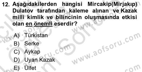 XIX. Yüzyıl Türk Dünyası Dersi 2023 - 2024 Yılı (Final) Dönem Sonu Sınav Soruları 12. Soru