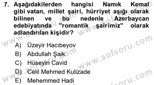 XIX. Yüzyıl Türk Dünyası Dersi 2023 - 2024 Yılı (Final) Dönem Sonu Sınav Soruları 7. Soru