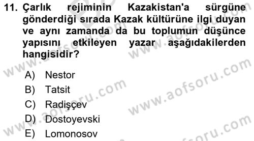 XIX. Yüzyıl Türk Dünyası Dersi 2024 - 2025 Yılı (Final) Dönem Sonu Sınav Soruları 11. Soru