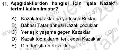 XIX. Yüzyıl Türk Dünyası Dersi 2024 - 2025 Yılı Yaz Okulu Sınav Soruları 11. Soru
