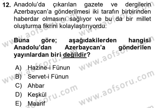 XIX. Yüzyıl Türk Dünyası Dersi 2024 - 2025 Yılı Yaz Okulu Sınav Soruları 12. Soru