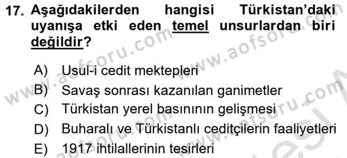 XIX. Yüzyıl Türk Dünyası Dersi 2024 - 2025 Yılı Yaz Okulu Sınav Soruları 17. Soru
