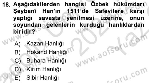 XIX. Yüzyıl Türk Dünyası Dersi 2024 - 2025 Yılı Yaz Okulu Sınav Soruları 18. Soru