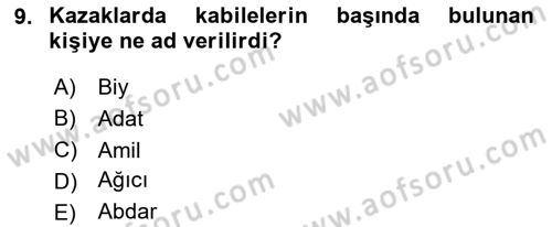 XIX. Yüzyıl Türk Dünyası Dersi 2024 - 2025 Yılı Yaz Okulu Sınav Soruları 9. Soru