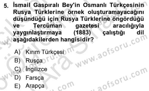 XIX. Yüzyıl Türk Dünyası Dersi 2025 - 2026 Yılı (Vize) Ara Sınav Soruları 5. Soru