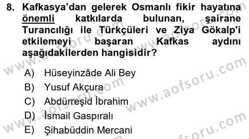 XIX. Yüzyıl Türk Dünyası Dersi 2025 - 2026 Yılı (Vize) Ara Sınav Soruları 8. Soru