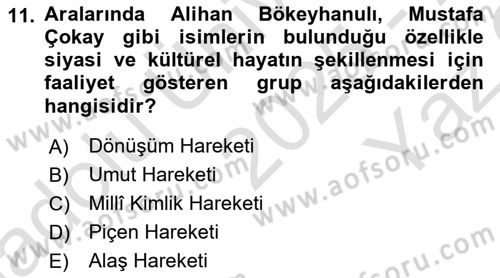 XIX. Yüzyıl Türk Dünyası Dersi 2025 - 2026 Yılı Yaz Okulu Sınav Soruları 11. Soru