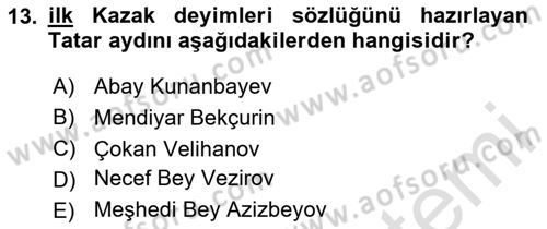 XIX. Yüzyıl Türk Dünyası Dersi 2025 - 2026 Yılı Yaz Okulu Sınav Soruları 13. Soru