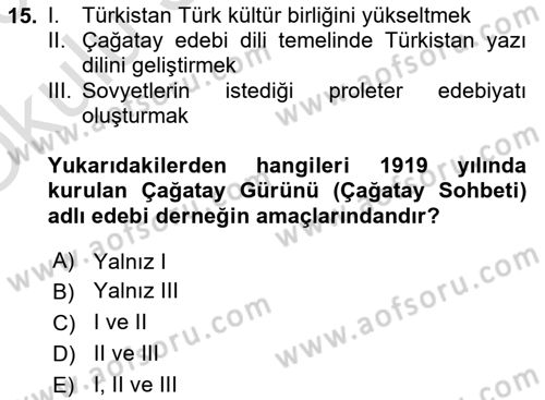 XIX. Yüzyıl Türk Dünyası Dersi 2025 - 2026 Yılı Yaz Okulu Sınav Soruları 15. Soru