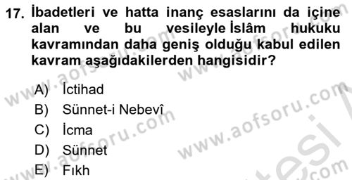 Hukuk Tarihi Dersi 2024 - 2025 Yılı (Vize) Ara Sınav Soruları 17. Soru