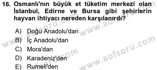 Osmanlı İktisat Tarihi Dersi 2016 - 2017 Yılı (Vize) Ara Sınav Soruları 16. Soru