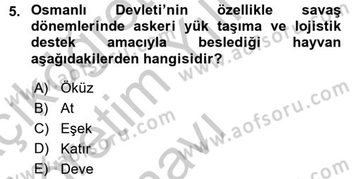 Osmanlı İktisat Tarihi Dersi 2018 - 2019 Yılı Yaz Okulu Sınav Soruları 5. Soru
