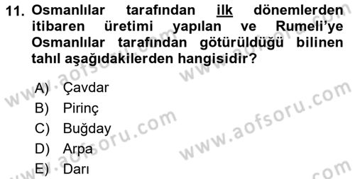 Osmanlı İktisat Tarihi Dersi 2023 - 2024 Yılı (Vize) Ara Sınav Soruları 11. Soru