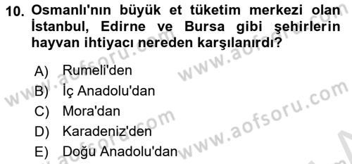Osmanlı İktisat Tarihi Dersi 2024 - 2025 Yılı (Vize) Ara Sınav Soruları 10. Soru