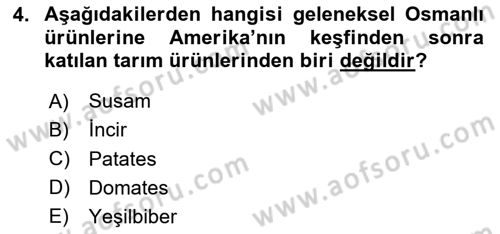 Osmanlı İktisat Tarihi Dersi 2024 - 2025 Yılı (Vize) Ara Sınav Soruları 4. Soru