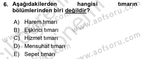 Osmanlı İktisat Tarihi Dersi 2024 - 2025 Yılı (Vize) Ara Sınav Soruları 6. Soru