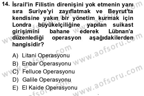 Modern Ortadoğu Tarihi Dersi 2013 - 2014 Yılı (Vize) Ara Sınav Soruları 14. Soru