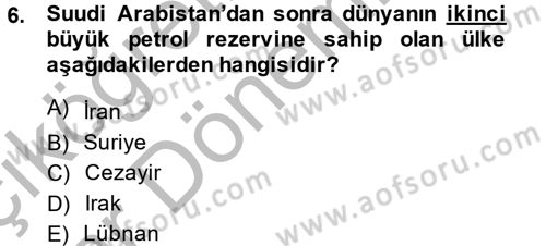 Modern Ortadoğu Tarihi Dersi 2013 - 2014 Yılı (Vize) Ara Sınav Soruları 6. Soru