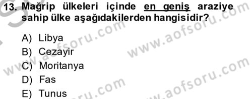 Modern Ortadoğu Tarihi Dersi 2013 - 2014 Yılı (Final) Dönem Sonu Sınav Soruları 13. Soru