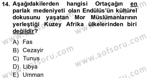 Modern Ortadoğu Tarihi Dersi 2013 - 2014 Yılı (Final) Dönem Sonu Sınav Soruları 14. Soru