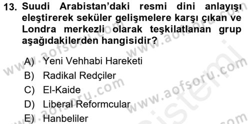 Modern Ortadoğu Tarihi Dersi 2015 - 2016 Yılı (Vize) Ara Sınav Soruları 13. Soru