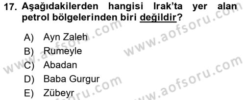 Modern Ortadoğu Tarihi Dersi 2015 - 2016 Yılı (Final) Dönem Sonu Sınav Soruları 17. Soru