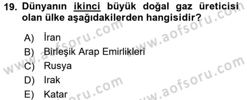 Modern Ortadoğu Tarihi Dersi 2015 - 2016 Yılı (Final) Dönem Sonu Sınav Soruları 19. Soru