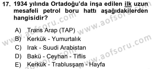 Modern Ortadoğu Tarihi Dersi 2015 - 2016 Yılı Tek Ders Sınav Soruları 17. Soru