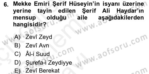 Modern Ortadoğu Tarihi Dersi 2015 - 2016 Yılı Tek Ders Sınav Soruları 6. Soru
