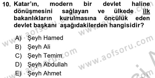 Modern Ortadoğu Tarihi Dersi 2016 - 2017 Yılı 3 Ders Sınav Soruları 10. Soru