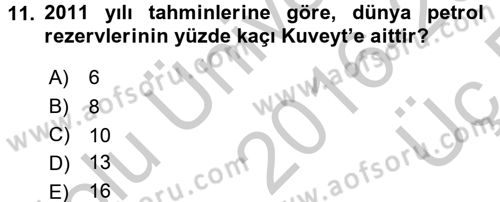 Modern Ortadoğu Tarihi Dersi 2016 - 2017 Yılı 3 Ders Sınav Soruları 11. Soru