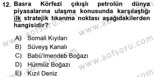 Modern Ortadoğu Tarihi Dersi 2016 - 2017 Yılı 3 Ders Sınav Soruları 12. Soru