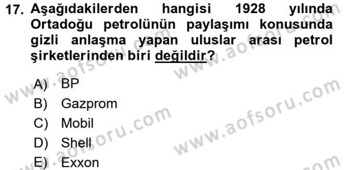 Modern Ortadoğu Tarihi Dersi 2016 - 2017 Yılı 3 Ders Sınav Soruları 17. Soru