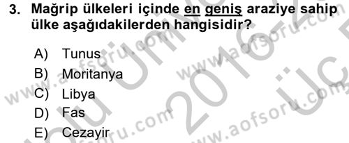 Modern Ortadoğu Tarihi Dersi 2016 - 2017 Yılı 3 Ders Sınav Soruları 3. Soru