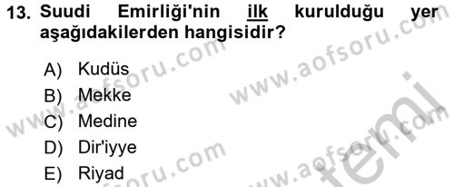 Modern Ortadoğu Tarihi Dersi 2016 - 2017 Yılı (Vize) Ara Sınav Soruları 13. Soru