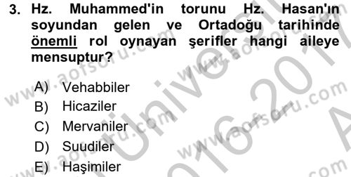 Modern Ortadoğu Tarihi Dersi 2016 - 2017 Yılı (Vize) Ara Sınav Soruları 3. Soru