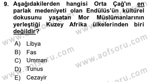 Modern Ortadoğu Tarihi Dersi 2016 - 2017 Yılı (Final) Dönem Sonu Sınav Soruları 9. Soru