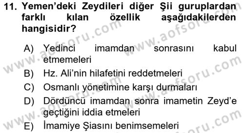 Modern Ortadoğu Tarihi Dersi 2017 - 2018 Yılı (Vize) Ara Sınav Soruları 11. Soru
