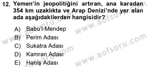 Modern Ortadoğu Tarihi Dersi 2017 - 2018 Yılı (Vize) Ara Sınav Soruları 12. Soru