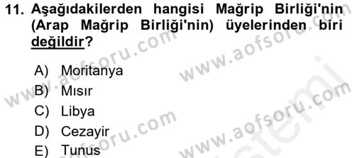 Modern Ortadoğu Tarihi Dersi 2017 - 2018 Yılı (Final) Dönem Sonu Sınav Soruları 11. Soru