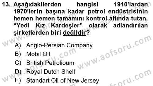 Modern Ortadoğu Tarihi Dersi 2018 - 2019 Yılı 3 Ders Sınavı 13. Soru