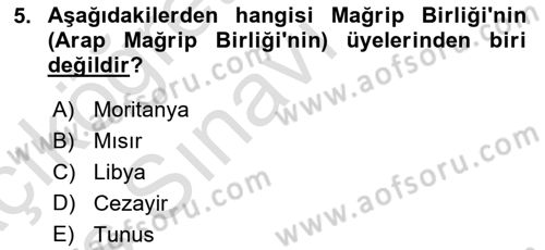 Modern Ortadoğu Tarihi Dersi 2018 - 2019 Yılı 3 Ders Sınavı 5. Soru