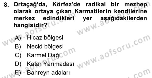 Modern Ortadoğu Tarihi Dersi 2018 - 2019 Yılı 3 Ders Sınavı 8. Soru