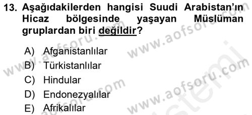 Modern Ortadoğu Tarihi Dersi 2018 - 2019 Yılı (Vize) Ara Sınav Soruları 13. Soru