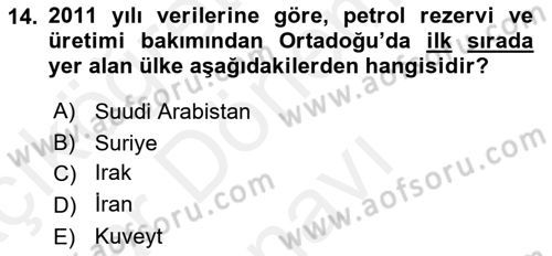 Modern Ortadoğu Tarihi Dersi 2018 - 2019 Yılı (Final) Dönem Sonu Sınav Soruları 14. Soru
