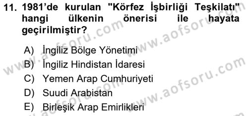 Modern Ortadoğu Tarihi Dersi 2018 - 2019 Yılı Yaz Okulu Sınav Soruları 11. Soru